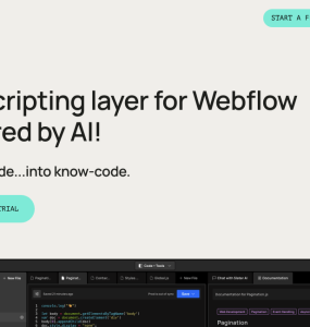 Camada de script para Webflow